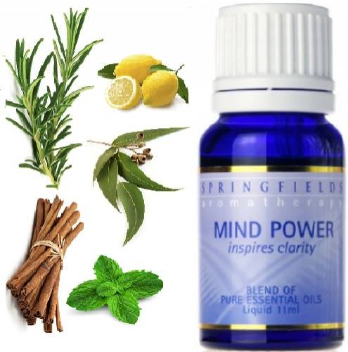 ESSENTIAL OIL BLEND MIND POWER